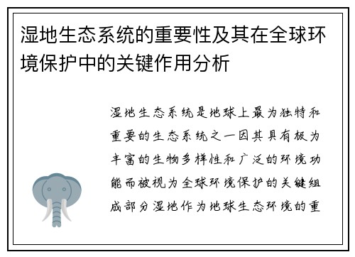 湿地生态系统的重要性及其在全球环境保护中的关键作用分析